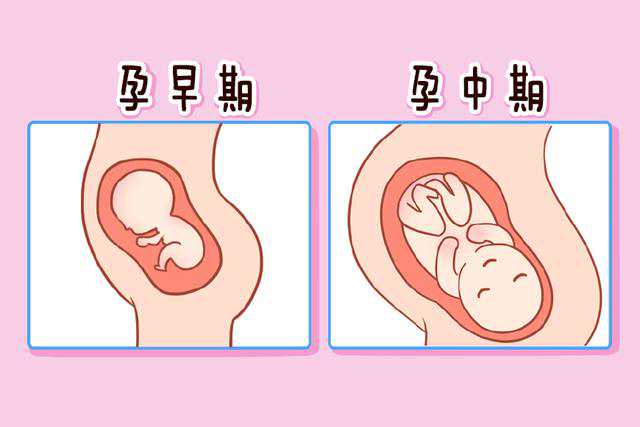 重庆西南医院供卵试管怎么申请报销医保