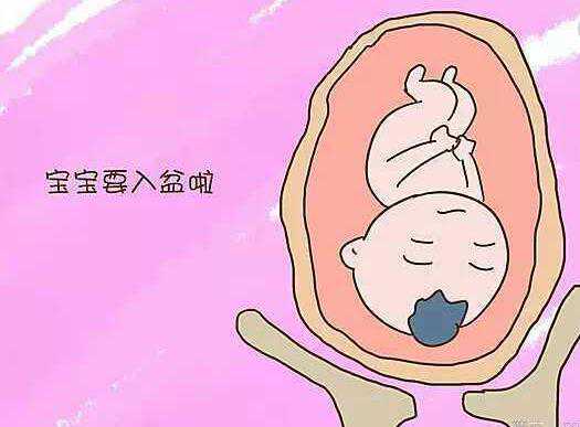 供卵重庆代孕电话，重庆做供卵三甲医院有（重庆可以供卵的医院）