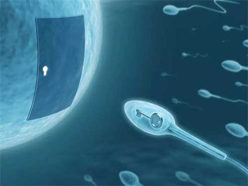 做二代试管对精子碎片率有要求吗